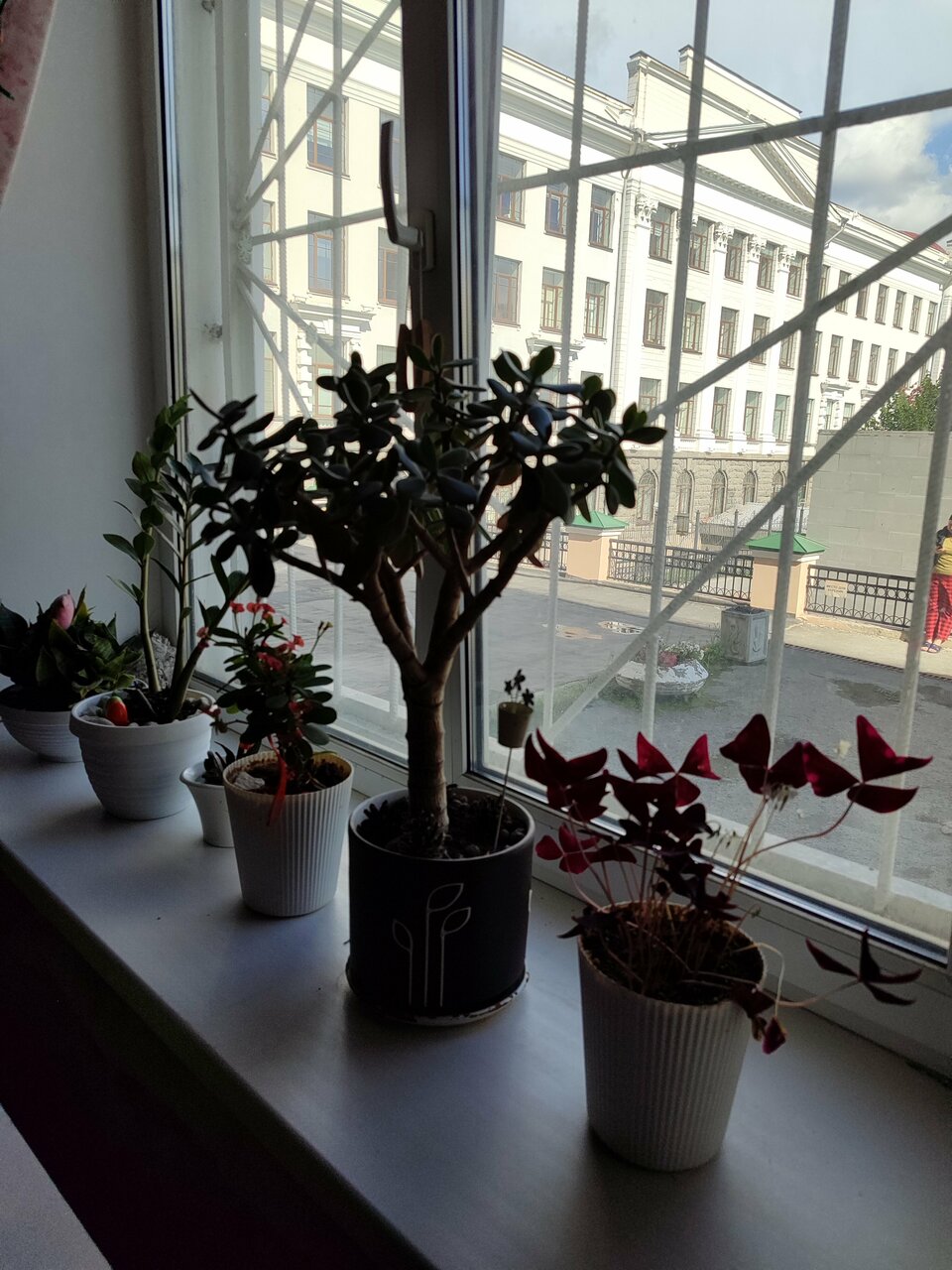 Хостелы Story Hostel Екатеринбург