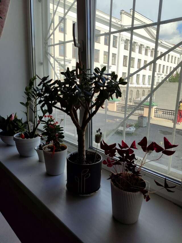 Хостелы Story Hostel Екатеринбург-125